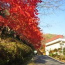 백양 관광호텔 이미지