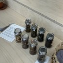 워터도트