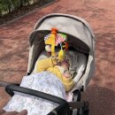 낙동제방 자전거도로 이미지