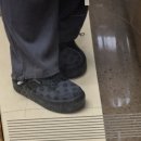 고양이묭실 | [월간일기 3월호] 새로운 동네 적응하는 중 그런데 수원을 못벗어난...