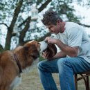 고양힐약국 이미지