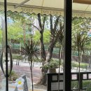 [일상]_구서동 와인바 이응(Eolo)