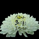 고독고영희(서울재건1회경제54)동문소천 이미지