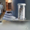 매트리스;소파;카페트새로클린부산