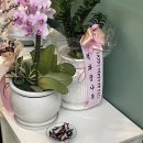 로일당