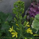 양지 어린이집 이미지