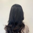 쁘띠헤어 이미지