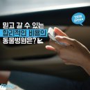 플러스동물병원 이미지
