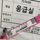 멍발머리 이미지