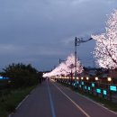 나주홍어 이미지