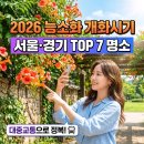 2026년 능소화 개화 시기 및 대중교통으로 가기 편한 서울 경기 능소화 명소 베스트 7