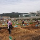 광주농장2 이미지