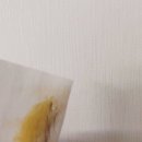 모모프
