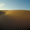 페리호로 떠나는 일본 다이센(大山)(8/22~8/25일 3박4일)예약란 이미지