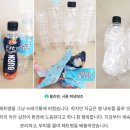 여성동아와 글로벌 캠페인 분리배출 챌린지, 국제위러브유(회장 장길자)