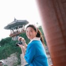 영금정활어회센터 이미지