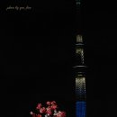 스카이트리