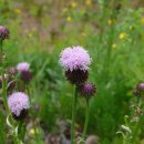 동의보감해독한의원 이미지