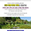 진성조경