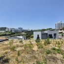 신창역신창약국