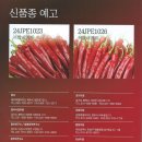 신흥종묘사 이미지