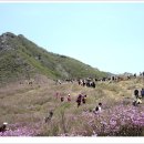 5월15일 토요일 경남 합천 황매산 철쭉제 산행 신청받습니다. 봄날의 꽃에 향연에 초대합니다.!!! 이미지