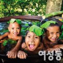 국제백신연구소