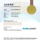 주식회사 픽셀스코프 이미지