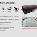 벅스존코리아