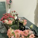 수원-0645 이미지