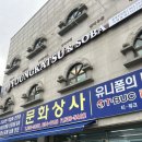 영카츠 충북진천점 | 충북 진천 맛집 영카츠 소바 돈까스 맛집 내돈내산 후기