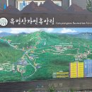 가평 유명산 자연휴양림 - 유명산 - 서울 대림동 신풍낙지 이미지