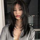 부일로C 이미지