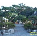 마니시스템 이미지