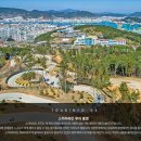 백조카써비스 이미지