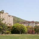 H9201 Daum카페