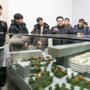 테제건축사사무소