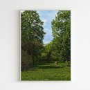 올웨이즈 이미지