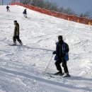 휘닉스파크 이미지