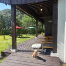 팔봉수피아 이미지