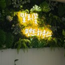 말리꽃펜트하우스 네이버블로그