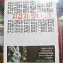 두꺼비 PC 방 | 동성로방탈출게임/대구방탈출 카페 인기있는 앨리스 방탈출 - 금두꺼비 후기