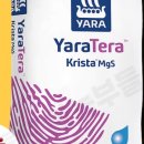 엠지에스 이미지