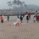 엄지유치원 이미지