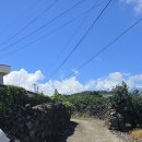 신효동-26 이미지