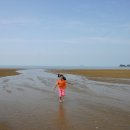 소나무풍경 이미지