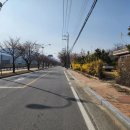 풍기홍삼찐빵 이미지