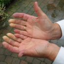 레이노 - 고양시 일산서구 호수로838번길 7-8 | 레이노
