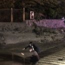 연화할매집 이미지