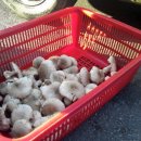 다모아 민박펜션 이미지